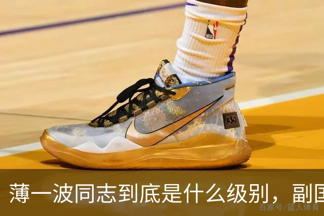 薄一波同志到底是什么级别，副国级？还是正国级？